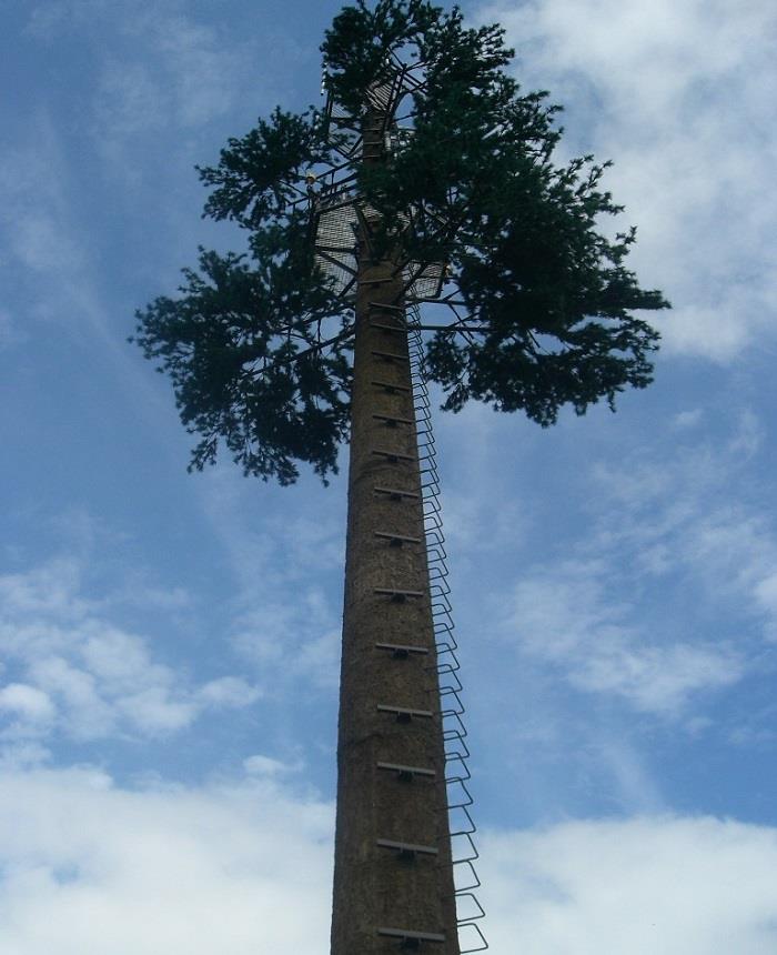 Camouflaged Pine Tree Towers
