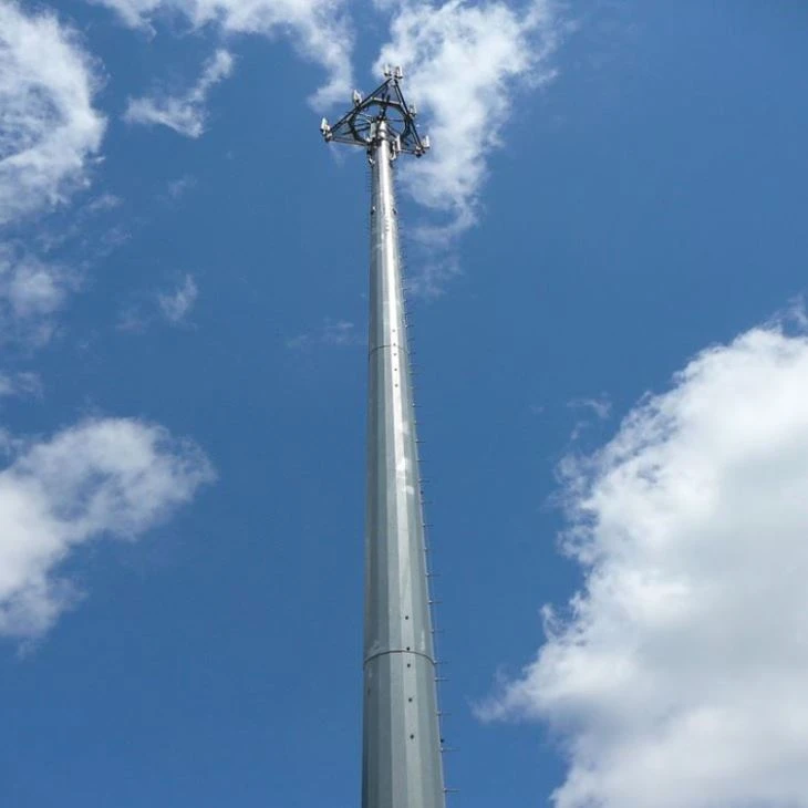 Monopoles