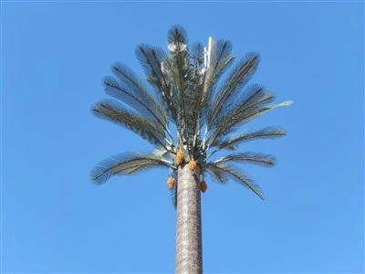 Bionic Tree Telecommunications Monopalm